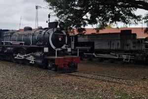 Ciudad de Nairobi: tour guiado cultural e histórico a pie