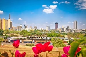Nairobi City Guided Tour