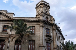 Safari guiado de 4x4 de 5 horas no Parque Nacional de Nairobi com recolha gratuita