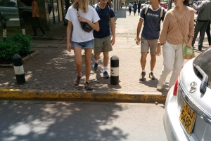 Nairobi: Byens højdepunkter, historie, byvandring