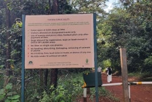 Nairobi City Nature Tour with Local Cuisine: Karura Forest
