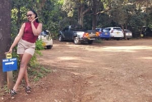 Nairobi City Nature Tour with Local Cuisine: Karura Forest