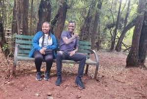 Nairobi City Nature Tour with Local Cuisine: Karura Forest