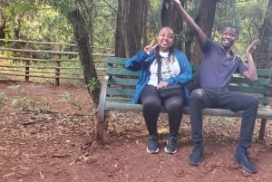 Nairobi City Nature Tour with Local Cuisine: Karura Forest