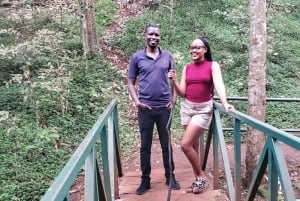 Nairobi City Nature Tour with Local Cuisine: Karura Forest