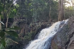 Nairobi City Nature Tour with Local Cuisine: Karura Forest