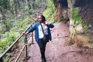 Nairobi City Nature Tour with Local Cuisine: Karura Forest