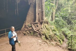 Nairobi City Nature Tour with Local Cuisine: Karura Forest