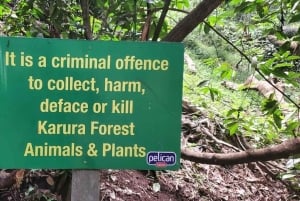 Nairobi City Nature Tour with Local Cuisine: Karura Forest