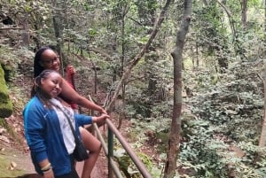 Nairobi City Nature Tour with Local Cuisine: Karura Forest