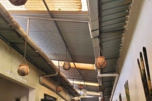 Nairobi City Nature Tour with Local Cuisine: Karura Forest