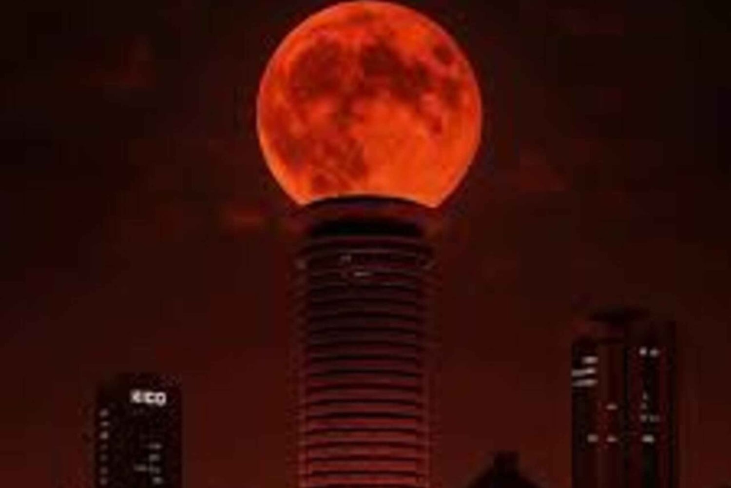 Nairobi: sterrenkijken in stadspark met gids