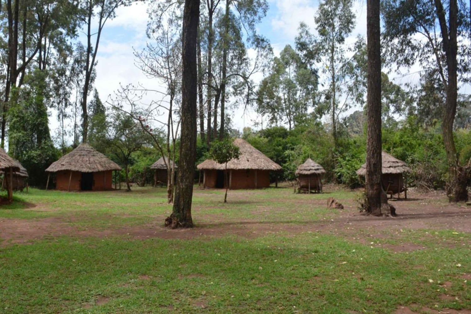 Nairobi: City tour com visita ao Bomas of Kenya