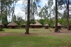 Nairobi: City tour com visita ao Bomas of Kenya