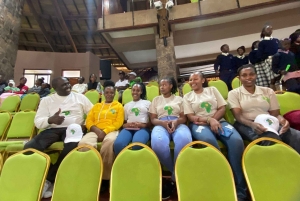 Nairobi: stadstour met musea en culturele show