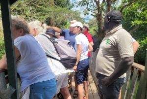 Nairobi: stadstour met musea en culturele show