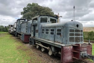 Nairobi National Museum & byrundvisning.