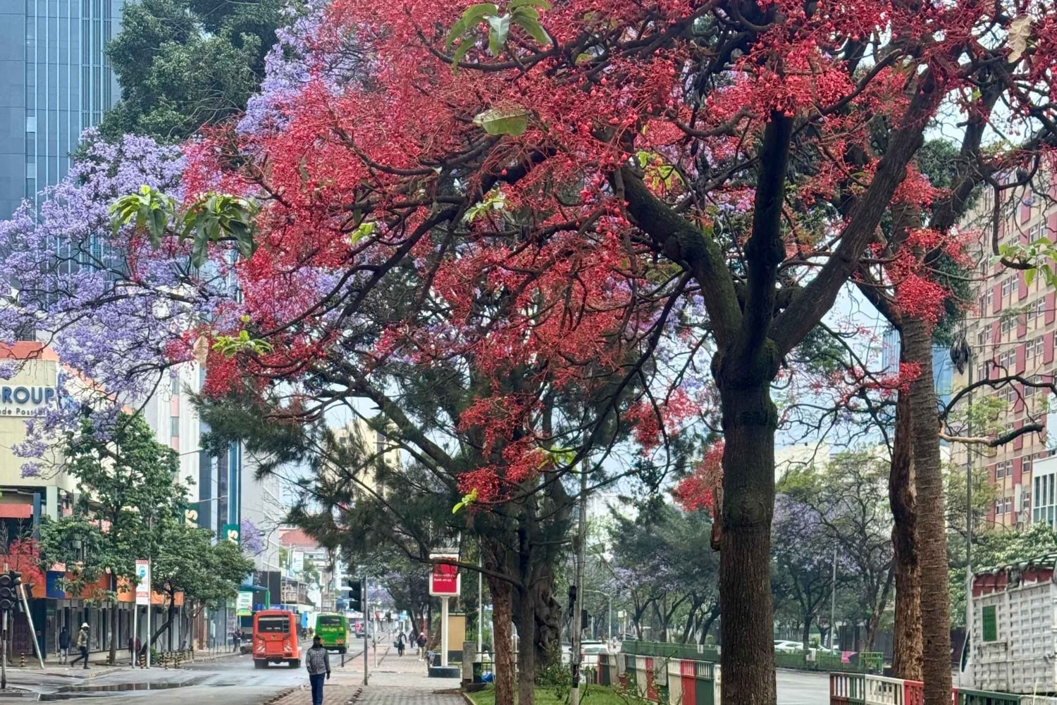 Nairobi: vistas de la ciudad y compras culturales