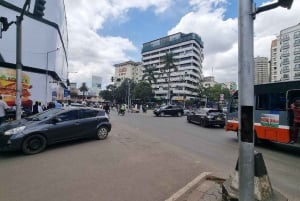 Nairobi: Halvdags guidad tur i nationalparken