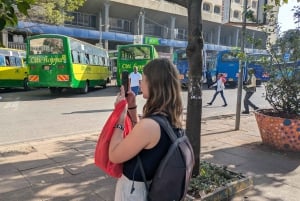 Nairobi City: Walking tour with Lifestyle and History.