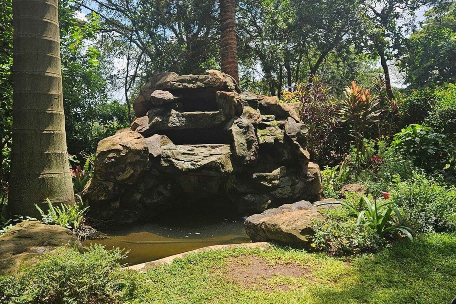 Nairobi: Coffee and Tea Plantation Guided Tour with Tasting