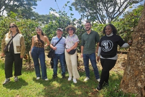 Nairobi: Coffee and Tea Plantation Guided Tour with Tasting