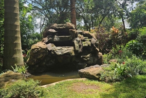 Nairobi: Coffee and Tea Plantation Guided Tour with Tasting