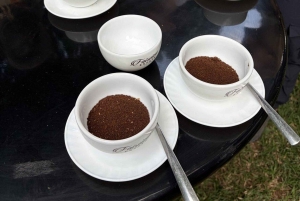 Nairobi: Coffee and Tea Plantation Guided Tour with Tasting