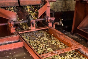Nairobi: Coffee and Tea Plantation Guided Tour with Tasting