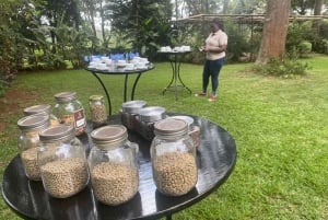 Nairobi: Coffee Factory and Farm Tour with Transfer
