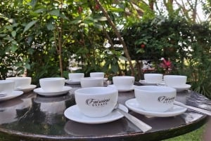 Nairobi: Coffee Factory and Farm Tour with Transfer