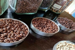 Omvisning på kaffefabrikk og gård i Nairobi med inngangsavgifter inkludert