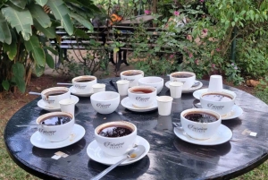 Omvisning på kaffefabrikk og gård i Nairobi med inngangsavgifter inkludert