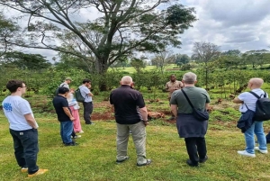 Omvisning på kaffefabrikk og gård i Nairobi med inngangsavgifter inkludert