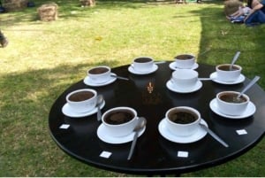 Omvisning på kaffefabrikk og gård i Nairobi med inngangsavgifter inkludert