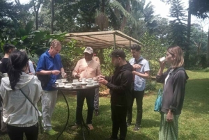 Omvisning på kaffefabrikk og gård i Nairobi med inngangsavgifter inkludert