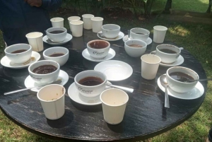 Omvisning på kaffefabrikk og gård i Nairobi med inngangsavgifter inkludert