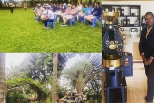 Omvisning på kaffefabrikk og gård i Nairobi med inngangsavgifter inkludert