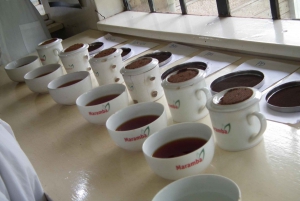 Nairobi: Coffee Farm and Factory Tour with Tasting