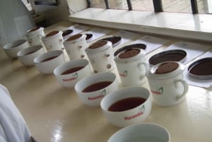 Nairobi: rondleiding koffieboerderij en fabriek met proeverij