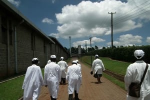 Nairobi: Visita a una granja y fábrica de café con degustación