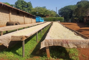 Nairobi: Coffee Farm and Factory Tour with Tasting