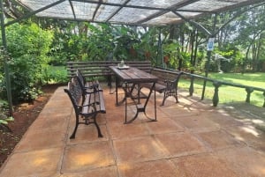 Nairobi Coffee Farm and Factory Tour