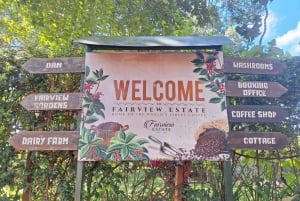 Nairobi Coffee Farm and Factory Tour