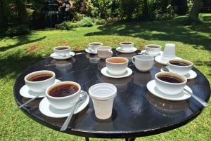 Nairobi Coffee Farm and Factory Tour
