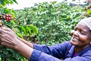 ナイロビコーヒー農園半日ツアー（オールインクルーシブ）