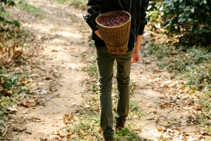 ナイロビコーヒー農園半日ツアー（オールインクルーシブ）