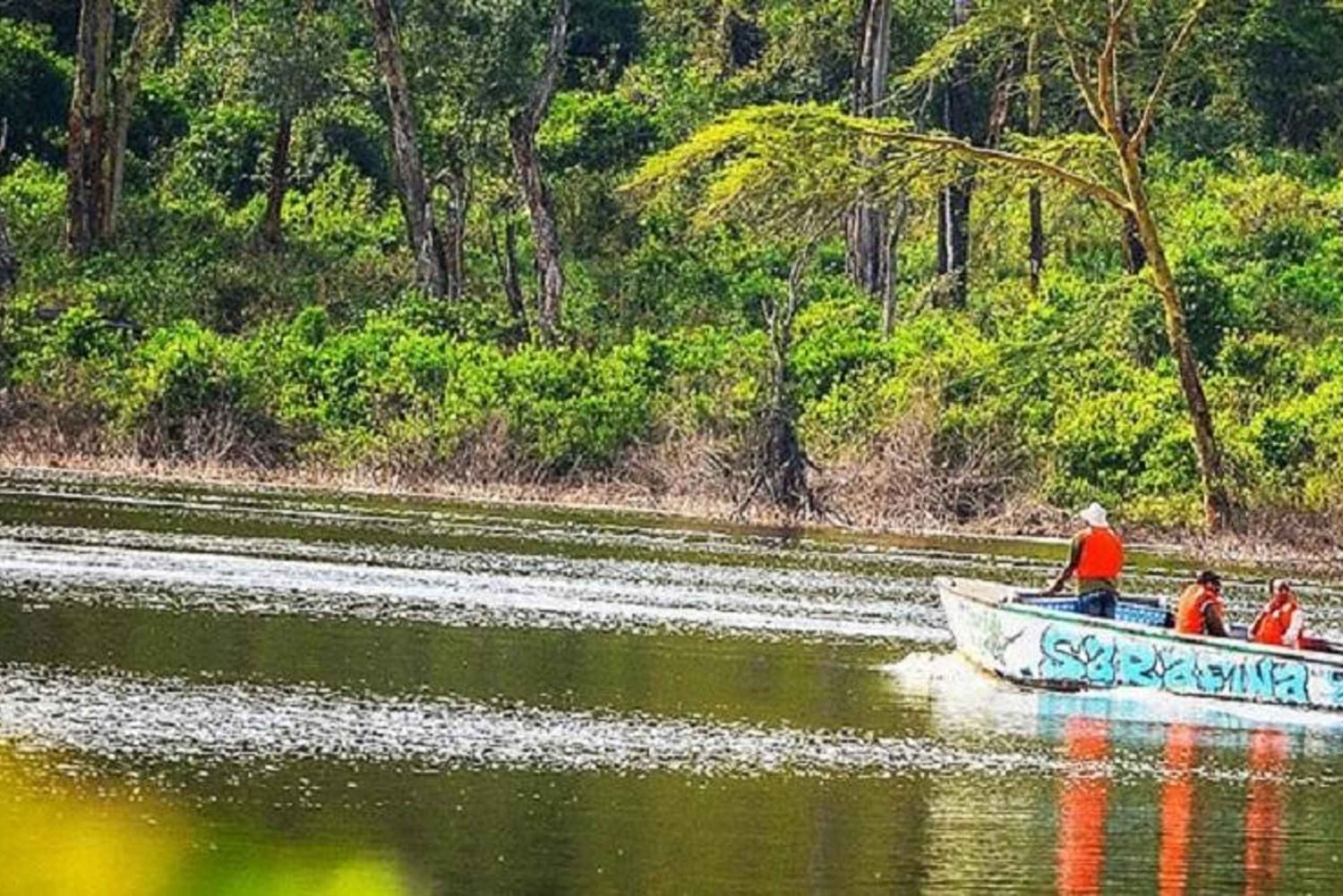 Nairobi: Crater Lake Game Sanctuary & Lake Naivasha Tour