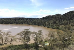 Nairobi: Crater Lake Game Sanctuary & Lake Naivasha Tour