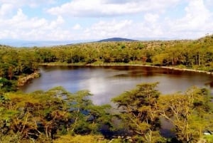 Nairobi: Crater Lake Game Sanctuary & Lake Naivasha Tour
